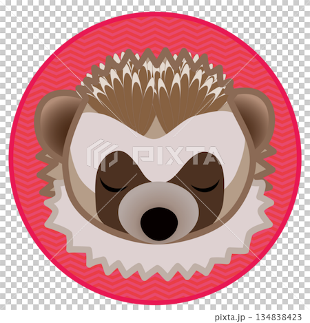 円形背景のついたハリネズミの顔イラスト 134838423