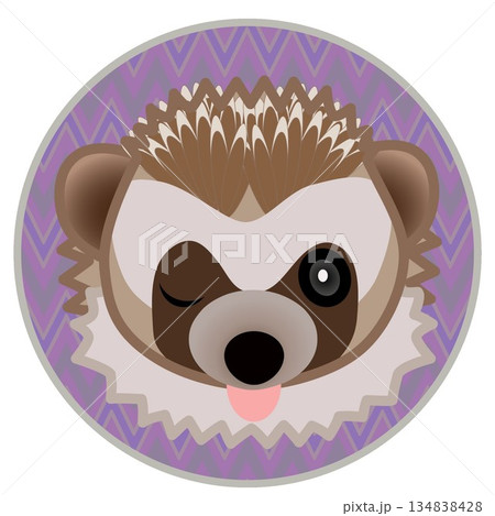 円形背景のついたハリネズミの顔イラスト 134838428