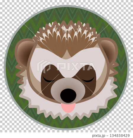 Hedgehog face illustration with circular background 134838429