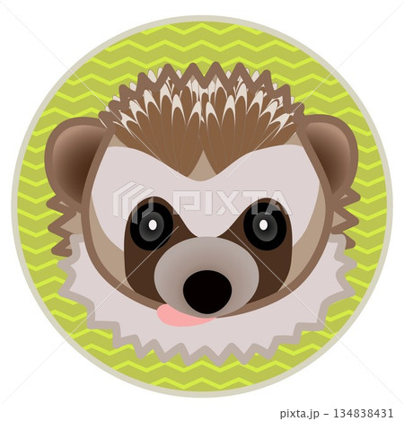 円形背景のついたハリネズミの顔イラスト 134838431