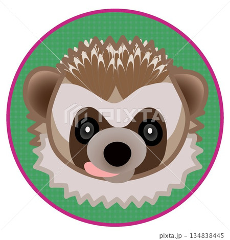 円形背景のついたハリネズミの顔イラスト 円形背景のついたハリネズミの顔イラスト 134838445