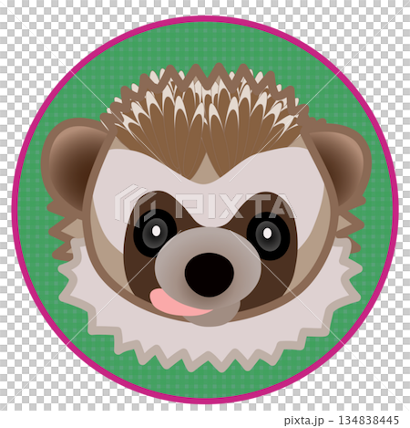 円形背景のついたハリネズミの顔イラスト 円形背景のついたハリネズミの顔イラスト 134838445