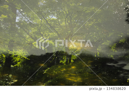 水面に映る新緑の木々の影と美しいリフレクションの風景 134838620