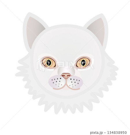 ペルシャ猫の顔のイラスト ペルシャ猫の顔のイラスト 134838950
