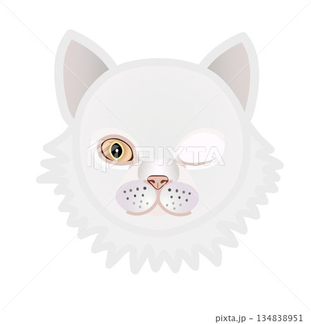 ペルシャ猫の顔のイラスト 134838951