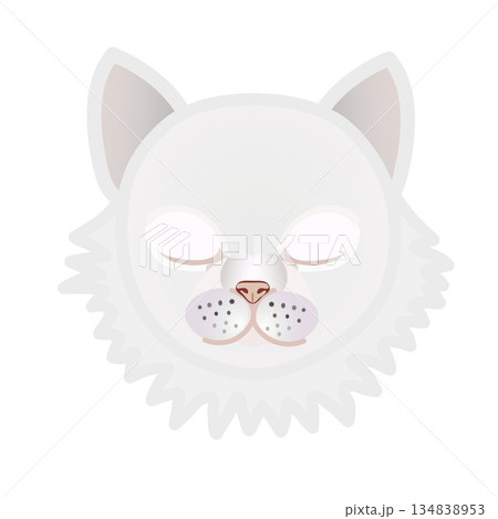ペルシャ猫の顔のイラスト 134838953