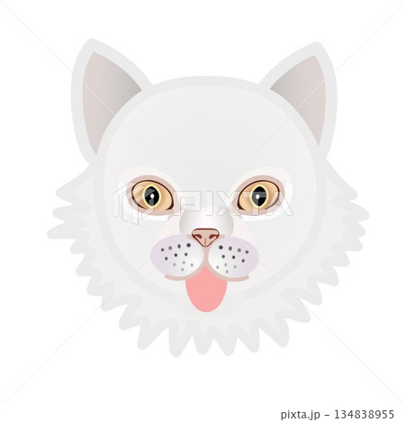 ペルシャ猫の顔のイラスト ペルシャ猫の顔のイラスト 134838955