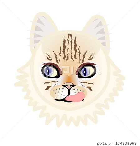 ペルシャ猫の顔のイラスト 134838968