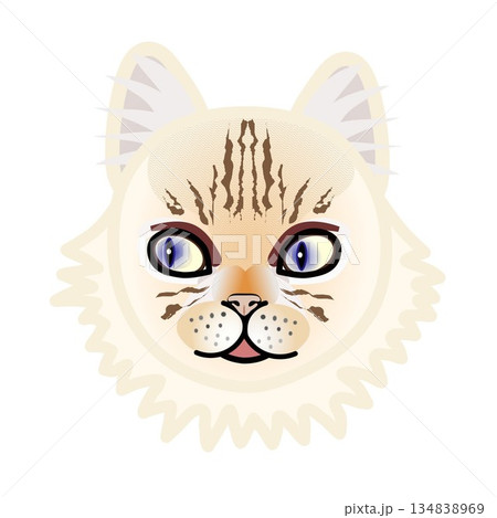 ペルシャ猫の顔のイラスト ペルシャ猫の顔のイラスト 134838969