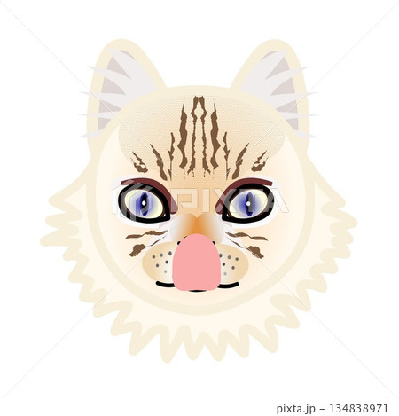 ペルシャ猫の顔のイラスト 134838971