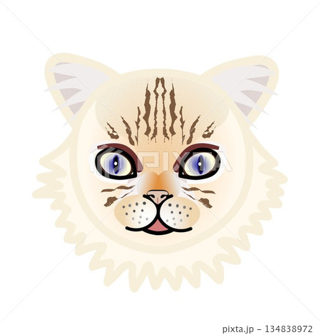 ペルシャ猫の顔のイラスト 134838972