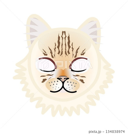 ペルシャ猫の顔のイラスト 134838974