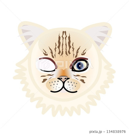 ペルシャ猫の顔のイラスト ペルシャ猫の顔のイラスト 134838976