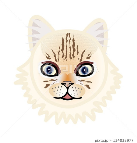 ペルシャ猫の顔のイラスト ペルシャ猫の顔のイラスト 134838977
