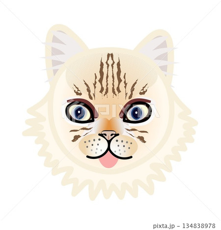 ペルシャ猫の顔のイラスト 134838978