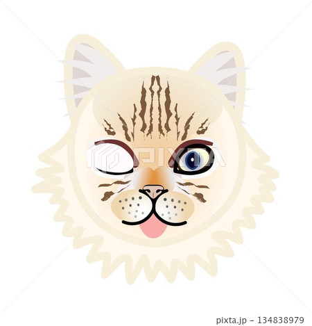ペルシャ猫の顔のイラスト 134838979