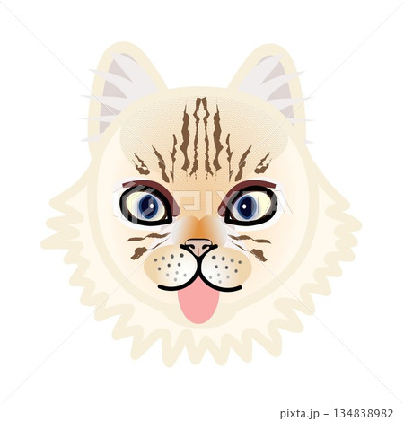 ペルシャ猫の顔のイラスト ペルシャ猫の顔のイラスト 134838982