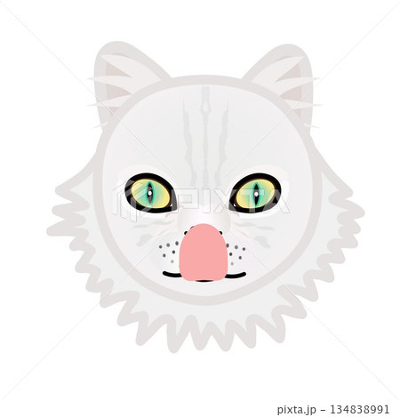 ペルシャ猫の顔のイラスト 134838991