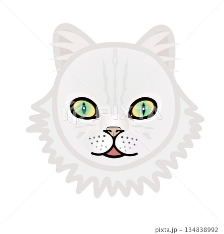 ペルシャ猫の顔のイラスト 134838992
