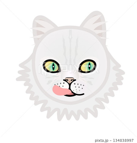 ペルシャ猫の顔のイラスト ペルシャ猫の顔のイラスト 134838997