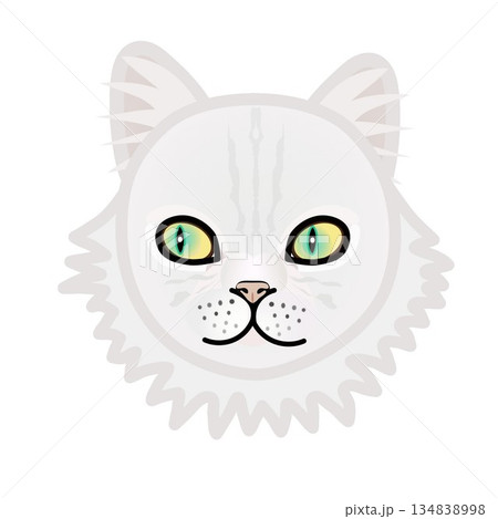 ペルシャ猫の顔のイラスト ペルシャ猫の顔のイラスト 134838998
