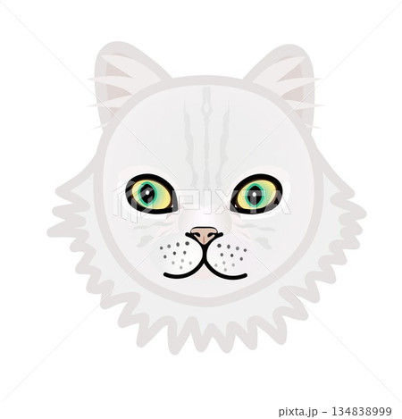 ペルシャ猫の顔のイラスト 134838999
