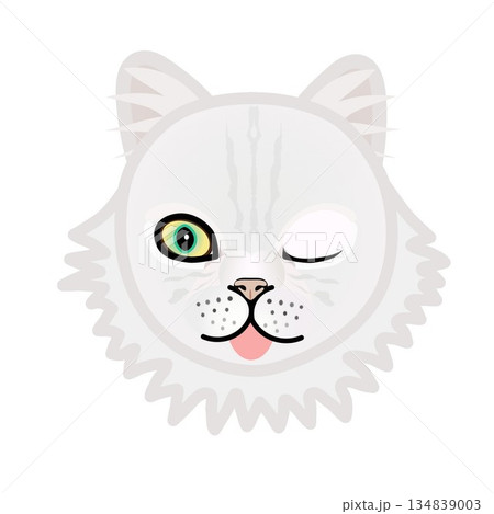 ペルシャ猫の顔のイラスト ペルシャ猫の顔のイラスト 134839003
