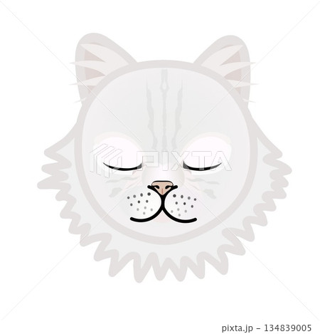 ペルシャ猫の顔のイラスト ペルシャ猫の顔のイラスト 134839005