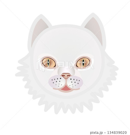 ペルシャ猫の顔のイラスト 134839020
