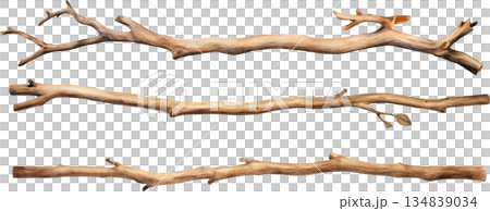 一組水彩插畫，描繪了漂浮的木頭，背景為白色，包含天然樹枝設計元素。 134839034