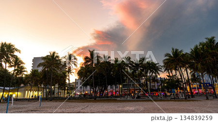Summer vacation in Miami south beach, Florida. Palm tree on sunny day. Tropical beach in Miami. Tropical outdoor scene with palm tree. Tropical summer vacation. Palm tree Summer vacation in Miami south beach, Florida. Palm tree on sunny day. Tropical beach in Miami. Tropical outdoor scene with palm tree. Tropical summer vacation. Palm tree 134839259