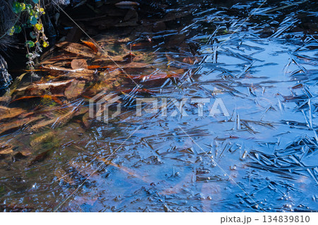 凍る水辺 134839810