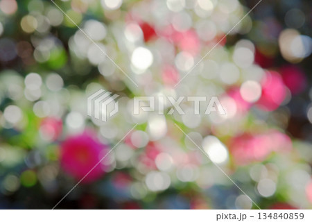 背景素材　玉ボケ系 キラキライメージ 134840859