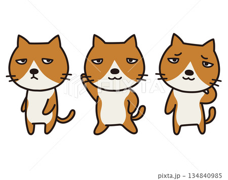 ハチワレ猫 134840985