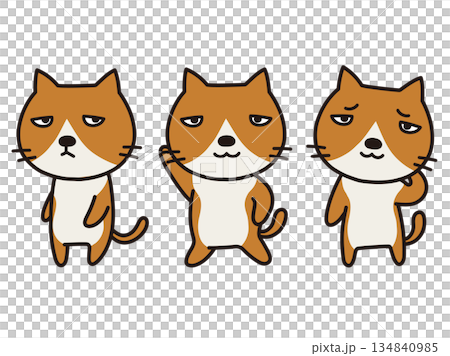 ハチワレ猫 134840985