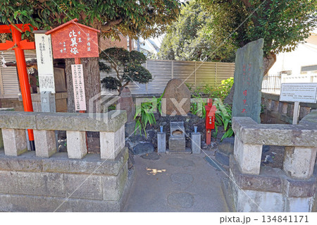 瀧泉寺(目黑) 瀧泉寺(目黑) 134841171