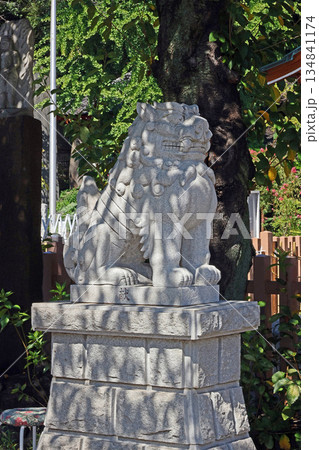 瀧泉寺(目黑) 瀧泉寺(目黑) 134841174