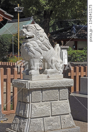 瀧泉寺(目黑) 瀧泉寺(目黑) 134841175