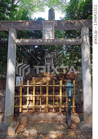 瀧泉寺(目黑) 瀧泉寺(目黑) 134841311