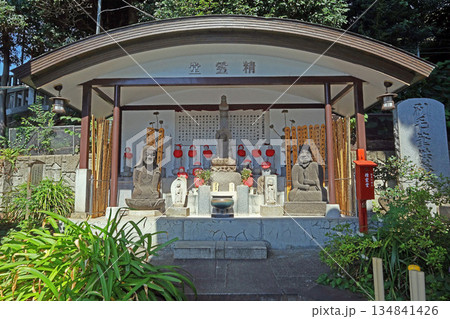 瀧泉寺（目黑） 134841426
