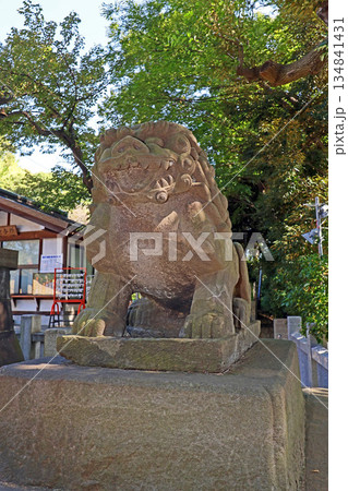 瀧泉寺(目黑) 瀧泉寺(目黑) 134841431