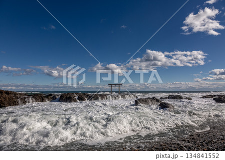 海岸から望む迫力ある神磯の鳥居と荒波【茨城県大洗海岸】 134841552