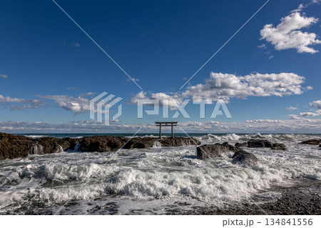 海岸から望む迫力ある神磯の鳥居と荒波【茨城県大洗海岸】 134841556