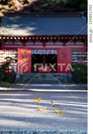 鎌倉251212　荏柄天神社1　黄葉 134841702