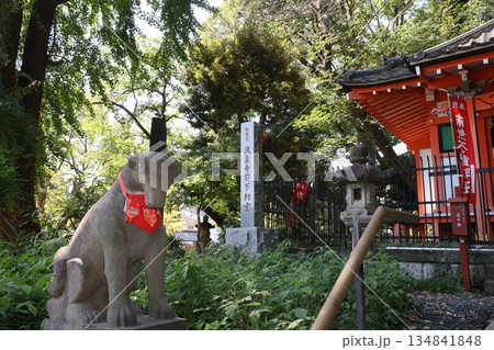 瀧泉寺(目黑) 瀧泉寺(目黑) 134841848