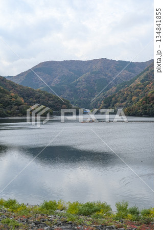 木々の紅葉が進む丹沢湖 134841855