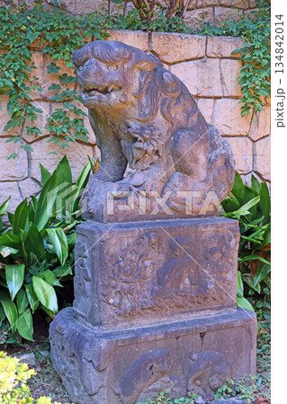 瀧泉寺（目黑） 134842014