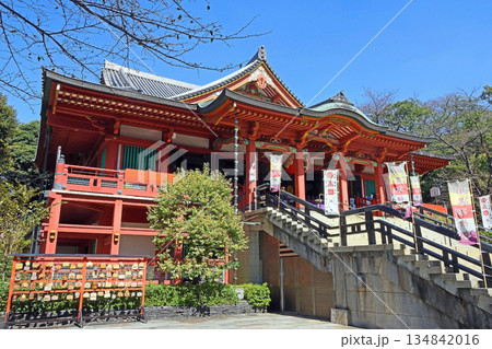 瀧泉寺(目黑) 瀧泉寺(目黑) 134842016