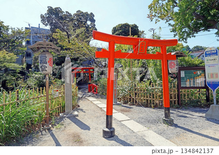 瀧泉寺(目黑) 瀧泉寺(目黑) 134842137