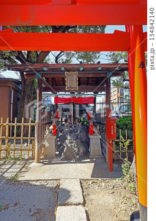 瀧泉寺（目黑） 134842140